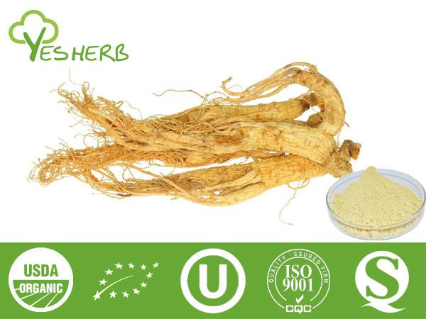 Auszug Panax Ginseng - Ginsenosides 10%-98%