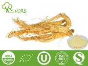 Auszug Panax Ginseng