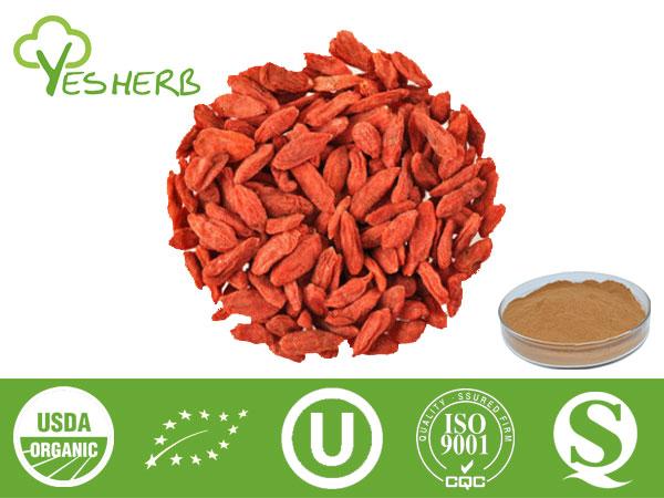 Auszug Goji Berry - Polysaccharides 30%,40%,50%