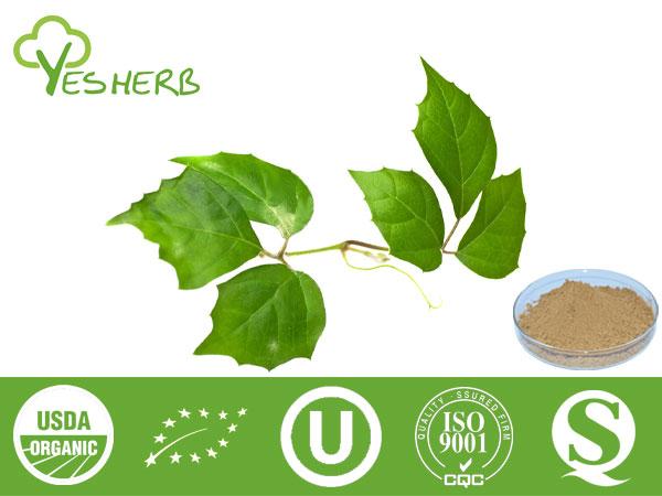 Ivy Extract - Hederagenin 20%