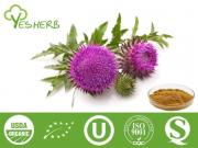 Milk Thistle Extract