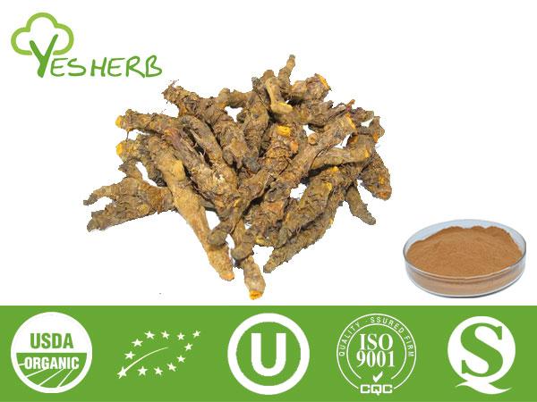 Berberin Extract - Berberine Hydrochloride 98%