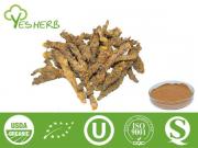 Berberin Extract