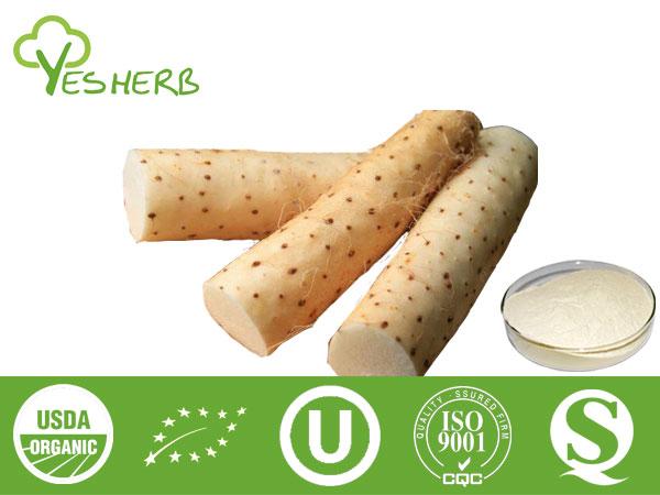 Wild Yam-Extrakt - Diosgenin 16%-98%