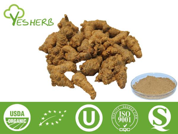 Panax Notoginseng-Extrakt - Notoginsenoside 5%,10%,20%