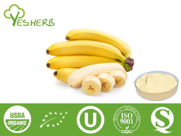 Banana Pulver - Spray Dried Banana powder
