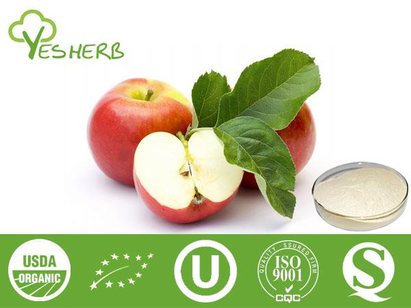 Apple-Pulver - Juice Powder