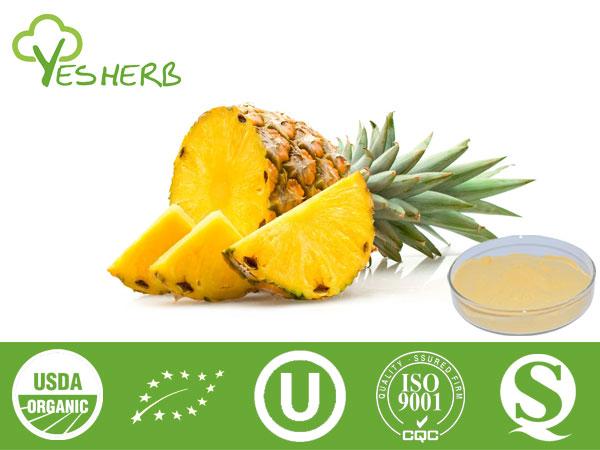 Ananas Pulver - Juice Powder