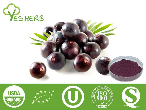 Acai Berry Pulver - Juice Powder