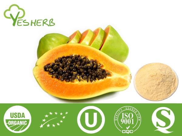 Papaya-Pulver - Fruit Powder