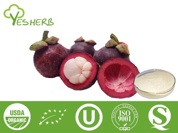 Mangostan-Pulver - Fruit powder