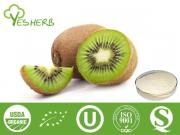 Kiwi-Pulver