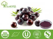 Acai Berry Pulver