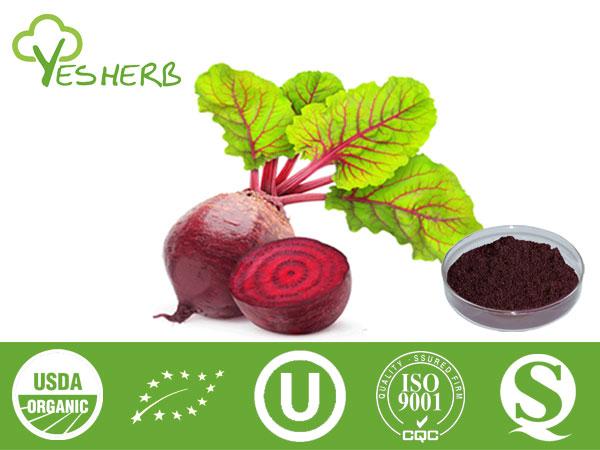 Rote-Bete-Pulver - Vegetable Powder