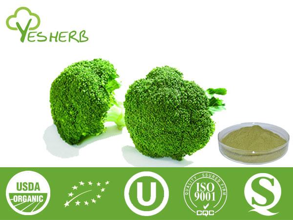 Brokkoli Pulver - vegetable Powder