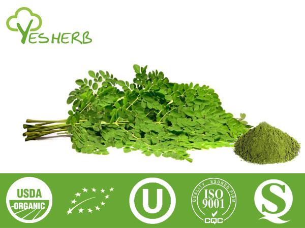 Moringa Blattpulver - Super Foods