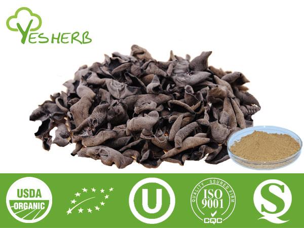 Black Fungus Pulver - Mushroom Extract