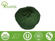 Spirulina Pulver