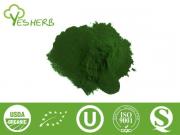 Chlorella-Pulver