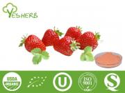 Erdbeerfruchtpulver