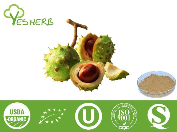 Horse Chestnut Seed Extract - Aescin 20%