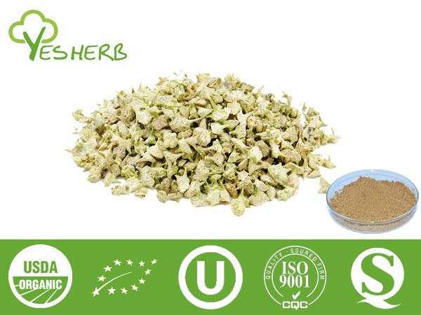 Tribulus terrestris Extrait - Tribuloside 40%-90%