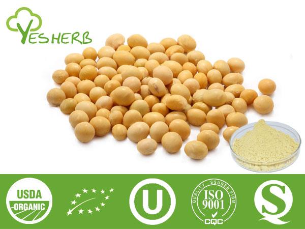 Extrait de soja - Soybean Isoflavone 40%, Soy lecithin 90%-98%,Daidzein 98%