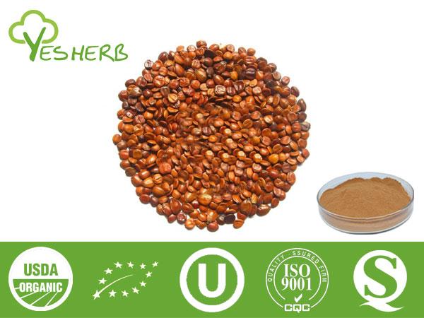 Extrait Jujube Seed - Jujuboside 2%-5%