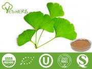 Extrait de Ginkgo Biloba