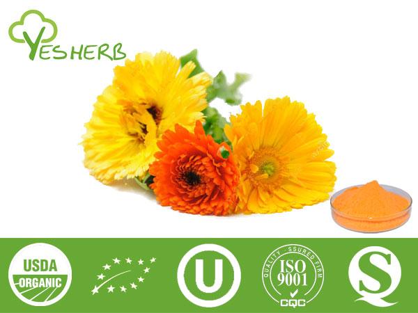 Extrait de Marigold - Lutein 5%-90%