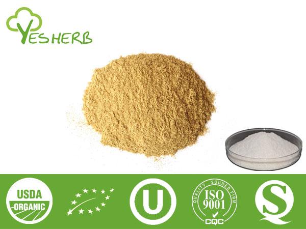 Riz Bran Extract - Ferulic Acid 98%