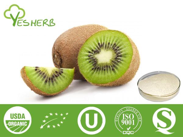 Kiwi poudre - Juice Powder