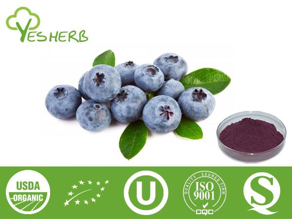Blueberry poudre - Juice Powder