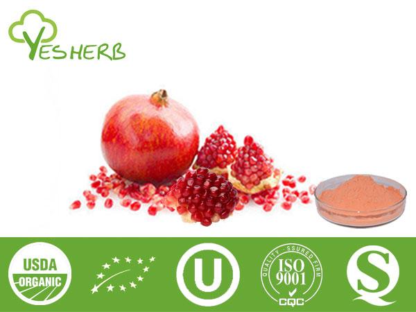 Pomegranate poudre - Juice Powder