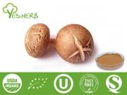 Extrait Shiitake Mushroom