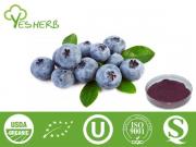 Blueberry poudre