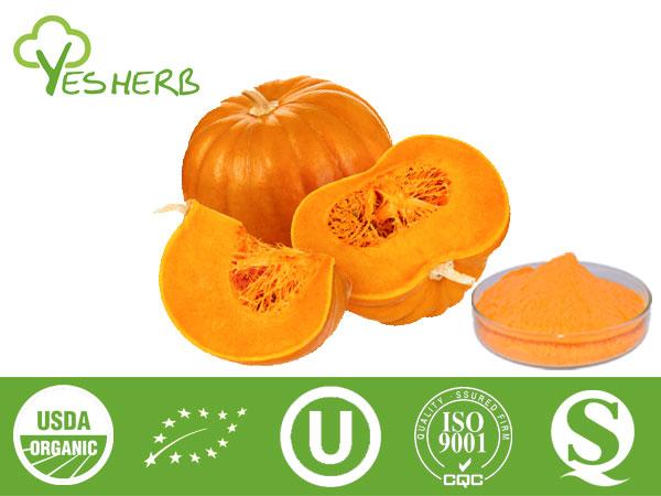 Pumpkin poudre - Vegetable Powder