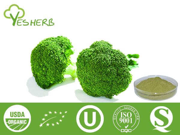 Brocoli poudre - vegetable Powder