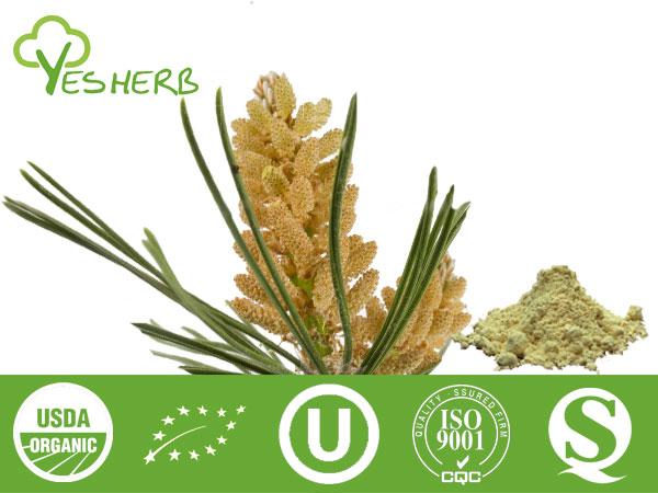 Pine Pollen poudre - Super Foods
