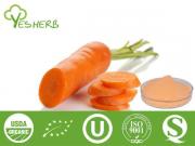 Carrot poudre