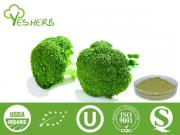 Brocoli poudre