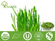 Wheat Grass Juice Powder