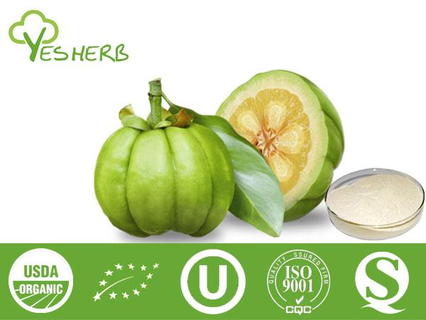 Garcinia cambogia निकालें - Hydroxycitric Acid (HCA) 50% 60%