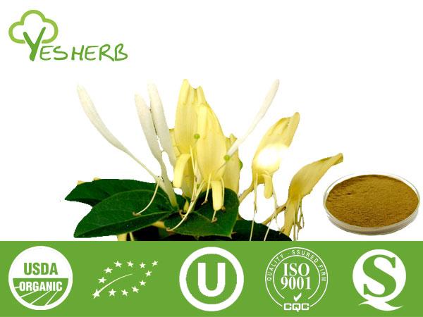 Honeysuckle निकालें - Chlorogenic Acids 5% - 98%