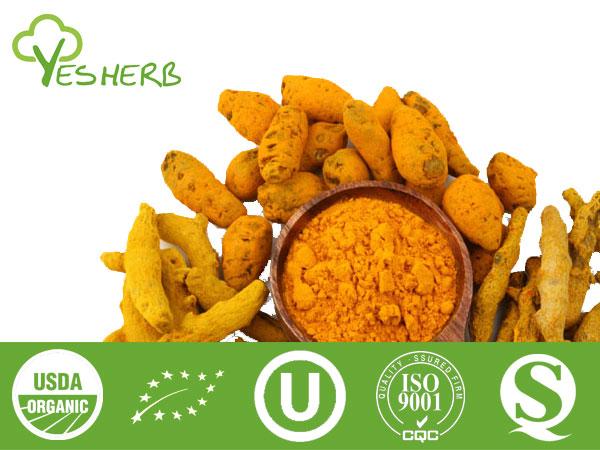 हल्दी निकालने - Curcumin 95%