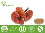 Reishi Mushroom Extract