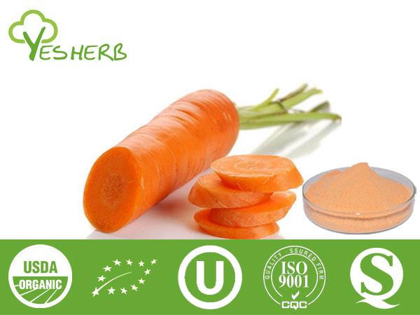 गाजर का पाउडर - Vegetable Powder