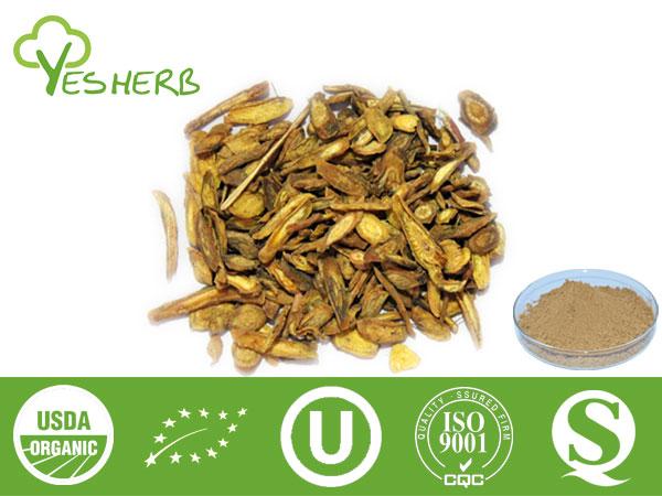 Scutellaria baicalensis Root Extract - Baicalin 85%,95%,98%, Baicalein 98%