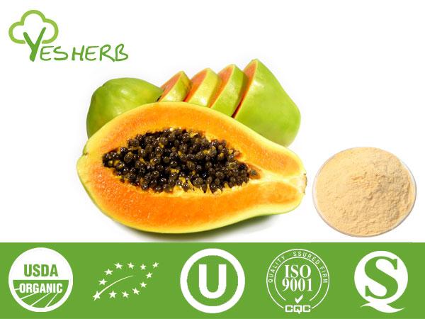 Papaya polvere - Fruit Powder