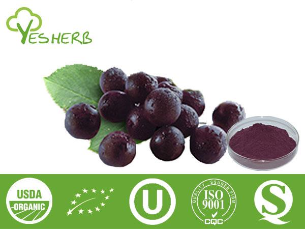 Maqui Berry Polvere - Juice Powder